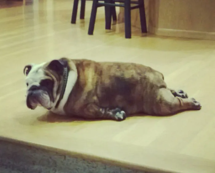 Attempted Bow Pose