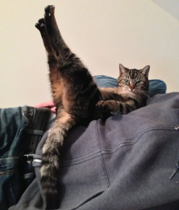 Dave Doing Upward Extended Feet Pose