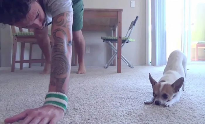 Doing Yoga With My Human Nic