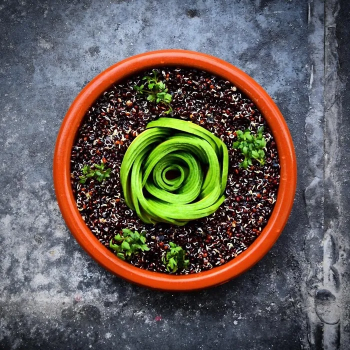 Food Blogger Turns Avocados Into Instagram-Worthy Edible Masterpieces