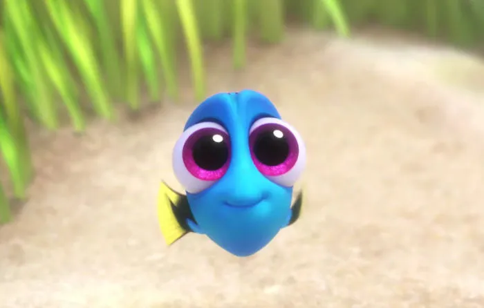 Don't Take That Dory Home!