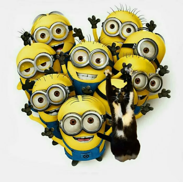 Minions Have A Pet! ????????