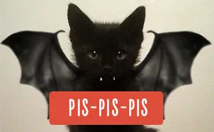 How People Call Cats In Different Countries
