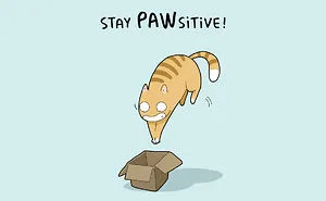 8 Cat Puns That Will Make Your Day