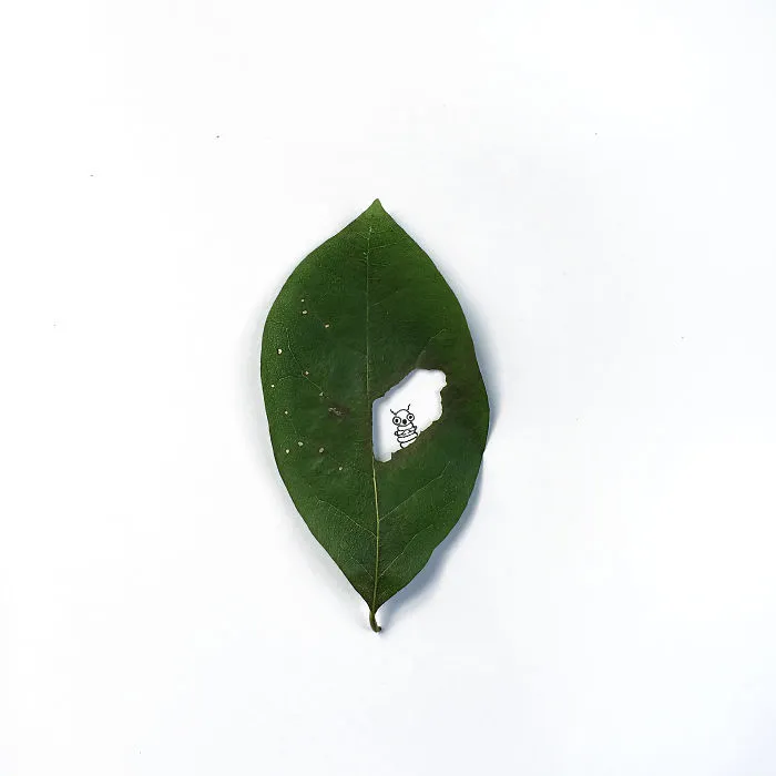 100 Days Of Tiny Things: I Find Small Objects Around Me And Turn Them Into Art