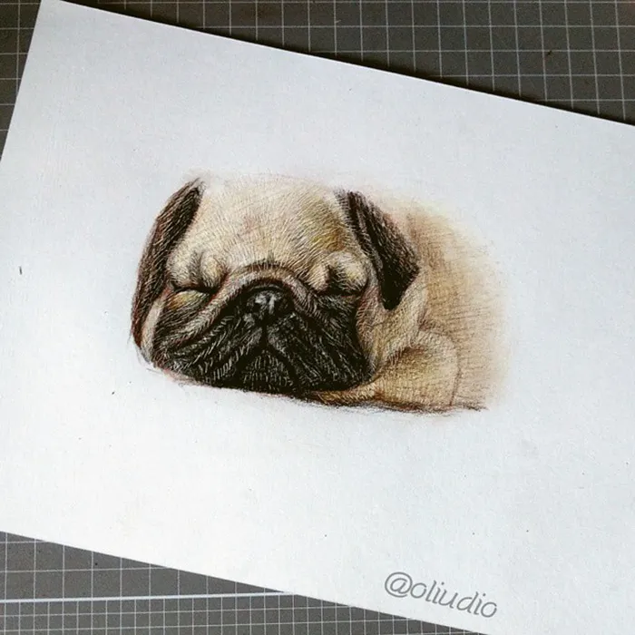 I Draw Furry Adorable Animals To Cure Unhappiness