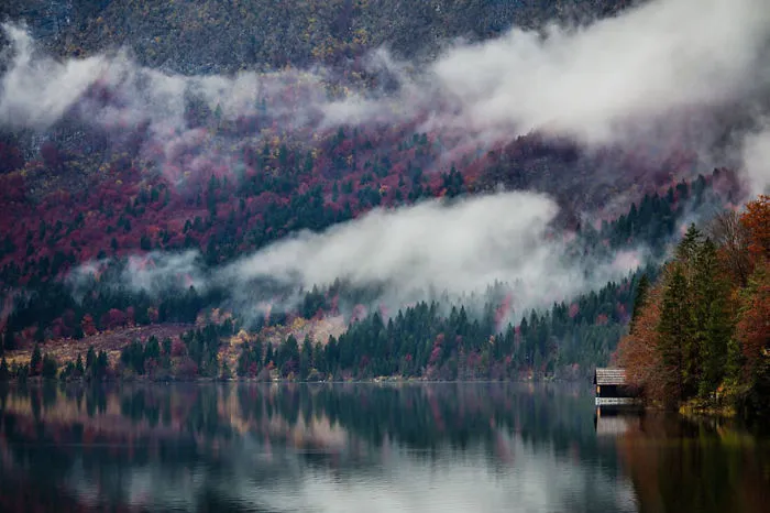47 Lonely Little Houses To Get Away From This World