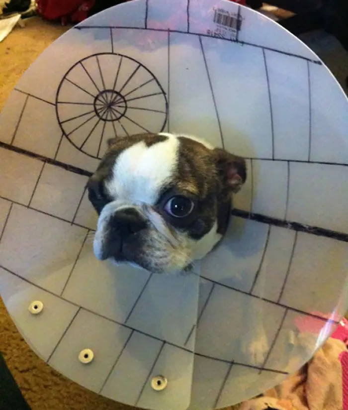 Cone Of Destruction