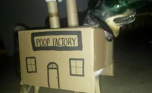 47 Creative Dog Owners Who Did Pawesome Things For Their Dogs