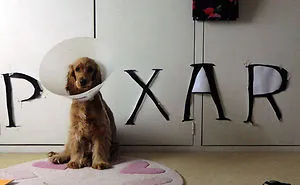 47 Creative Dog Owners Who Did Pawesome Things For Their Dogs