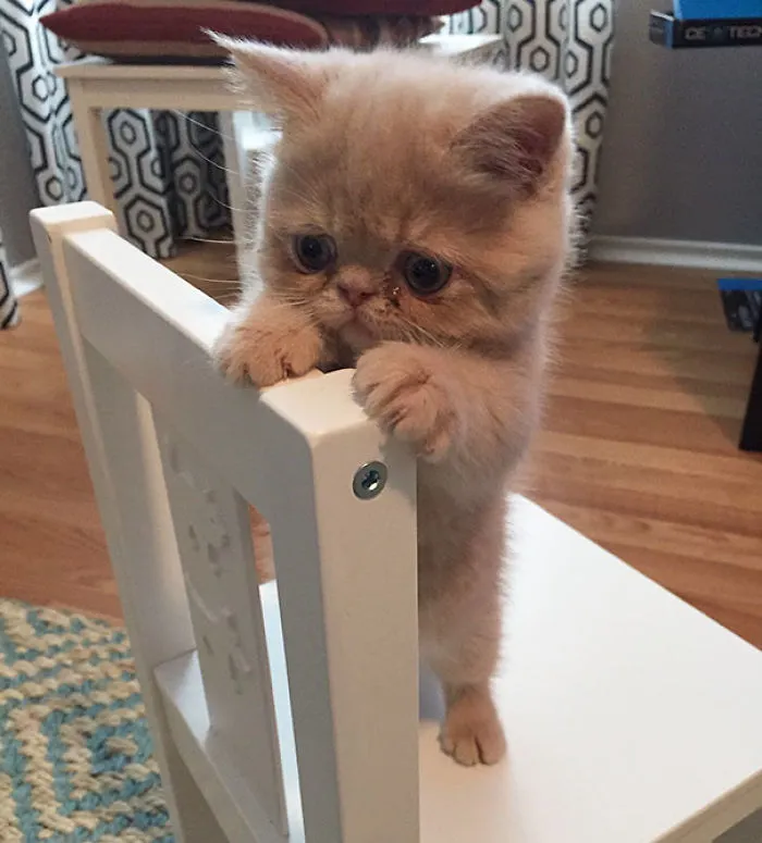 George Is Straight-up Ridiculous