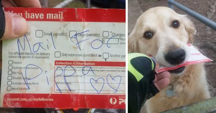 Dog Loves Getting Mail So Much That Postman Writes Her Letters Even When There's No Mail