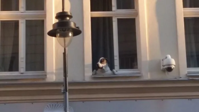 Hey There!