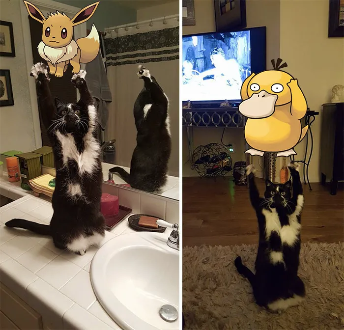 Pokémon Go