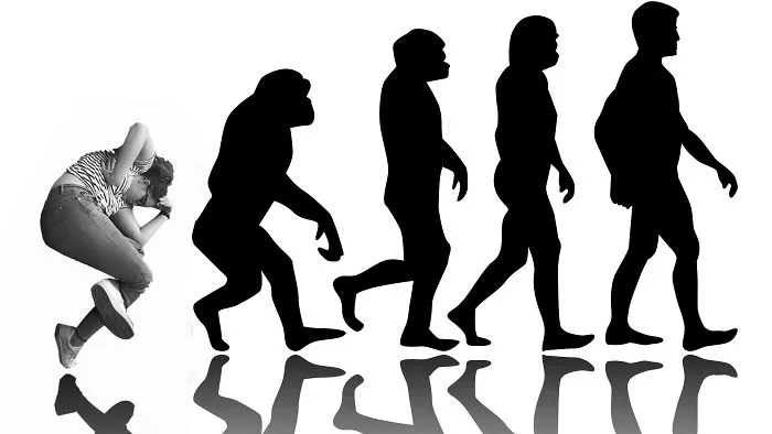 Evolution