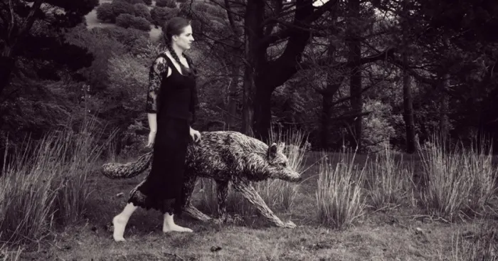 Walking With A Wire Wolf