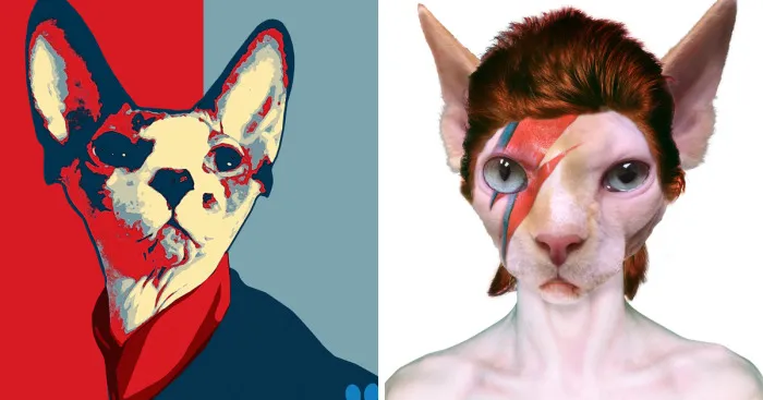 I Photoshop Sphynx Cats Into Pop Culture Art