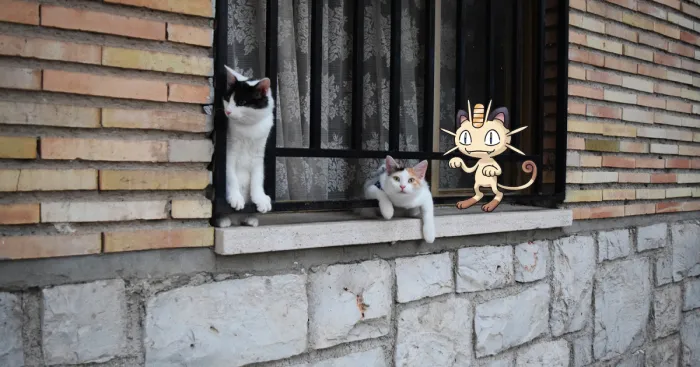My Friends Were Too Distracted By Pokémon Go To Check Out My Vacation Photos Until I Did This