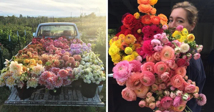 This Instagram Proves That A Florists' Job Is The Best Thing Ever