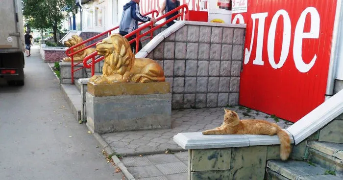Three Golden Lions