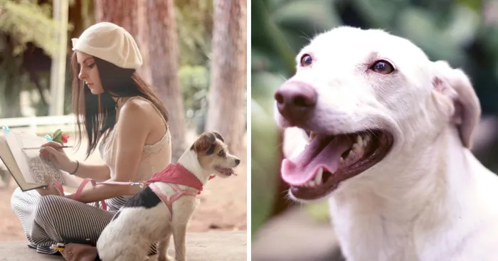 I Dedicate Some Of My Time To Help Animals Get Adopted