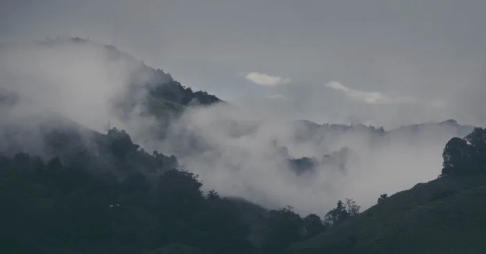 Gloomy Days: Capturing The Beauty After The Rain