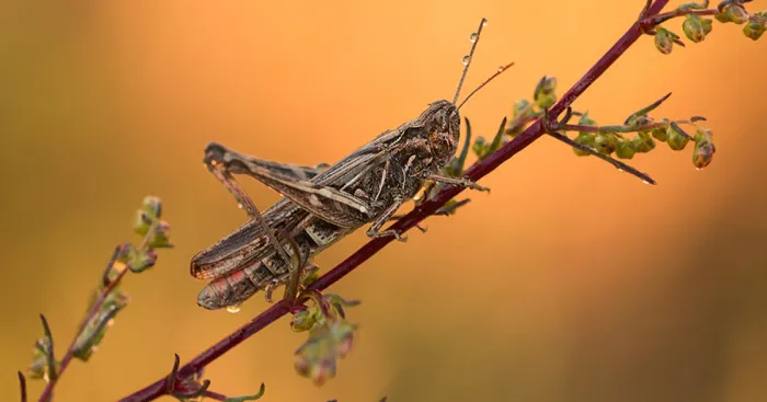 I Photograph The Beautiful Nature Of Poland