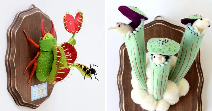 My Flora Insecta Series For Flora At Land Exhibition