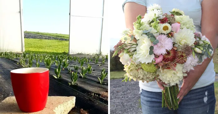 Being A Flower Farmer Without The Fairy Dust