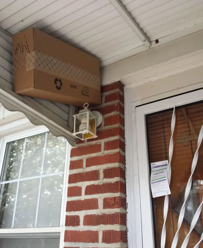 FedEx Decided To Get Creative On Me