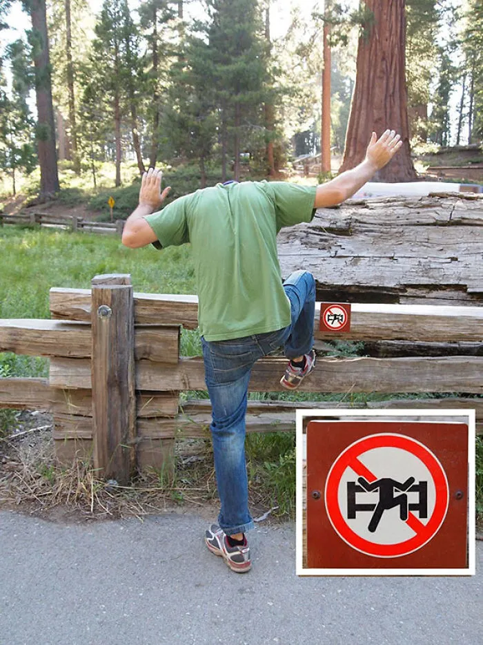 First World Anarchist