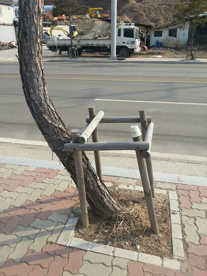 This Tree Gets It