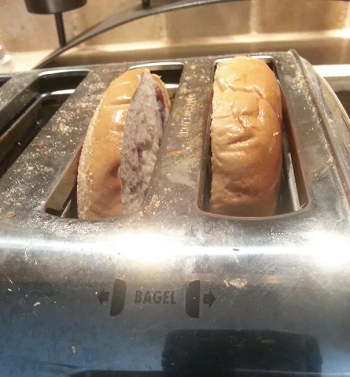 No Toaster Is Gonna Tell Me How To Live My Life