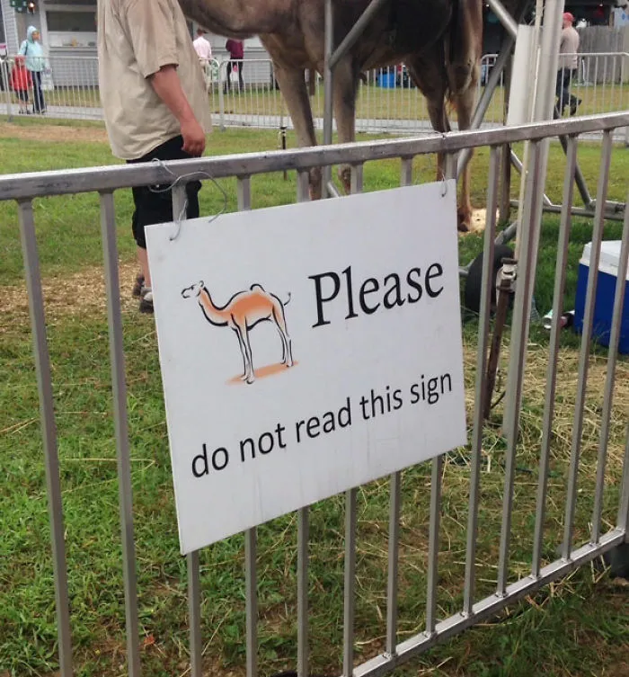 I Looked At It
