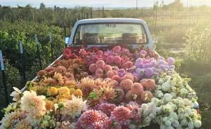 This Instagram Proves That A Florists' Job Is The Best Thing Ever