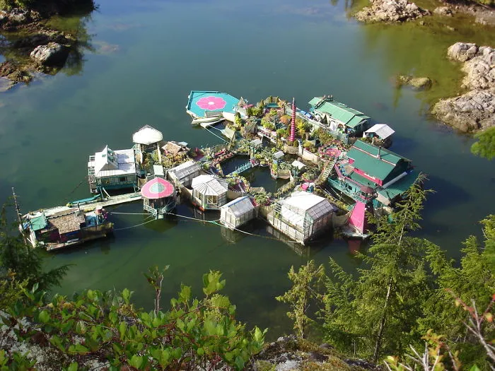 Canadian Artists Living In Freedom Cove From More Than 24 Years