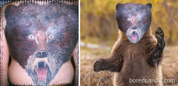 The Bear
