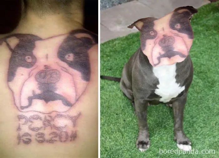 Terrible tattoo face swap of a dog with a poorly done tattoo on a person's back.