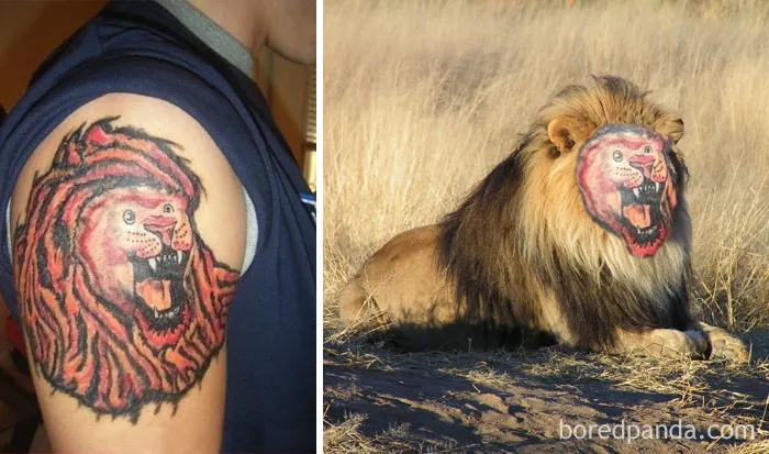 Angry Lion