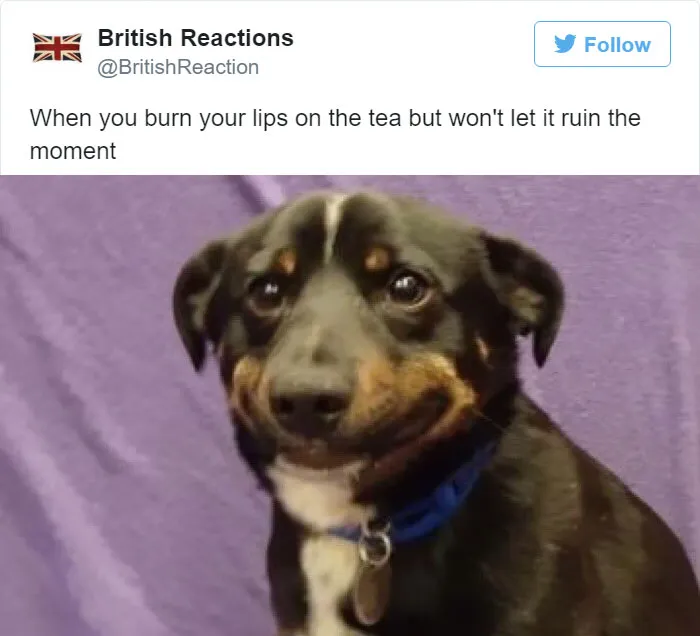 46 Hilariously Accurate Tweets That Sum Up What It Means To Be British