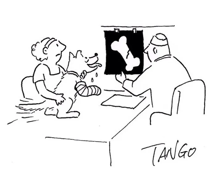 253 Incredibly Clever Comics By Shanghai Tango