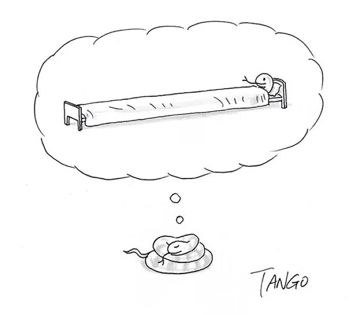 253 Incredibly Clever Comics By Shanghai Tango