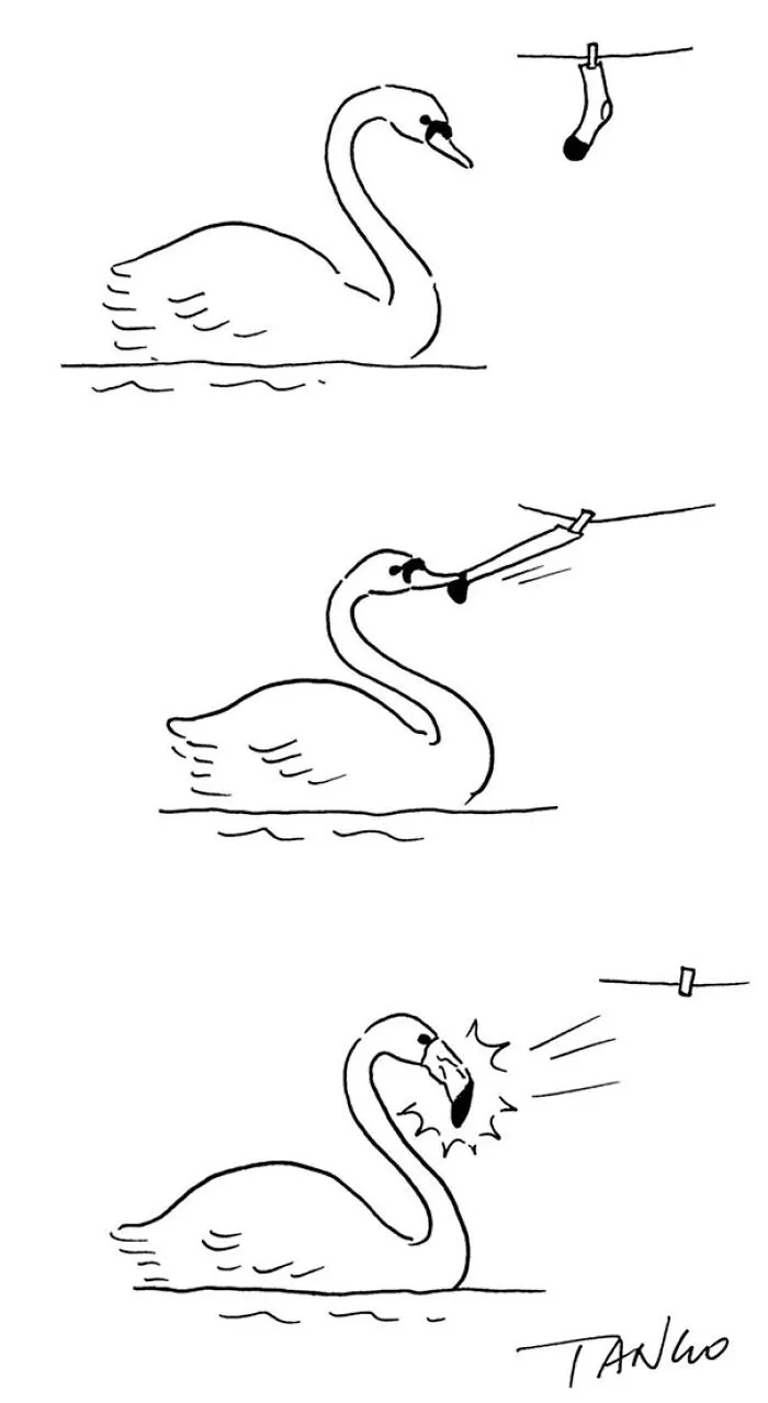253 Incredibly Clever Comics By Shanghai Tango