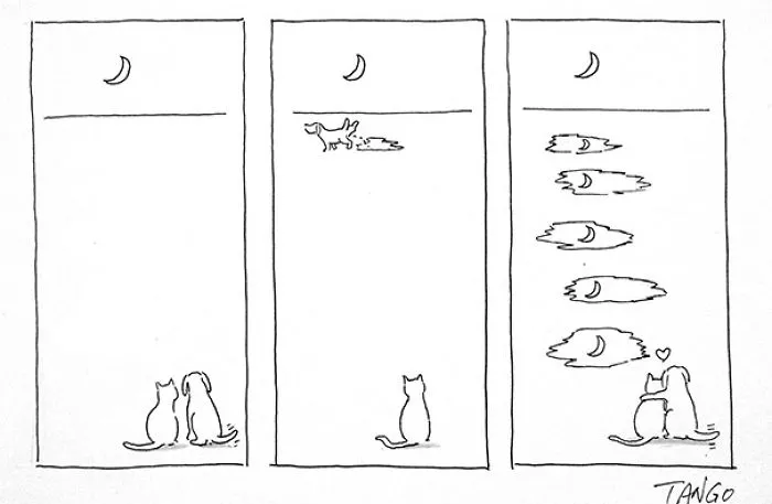 253 Incredibly Clever Comics By Shanghai Tango