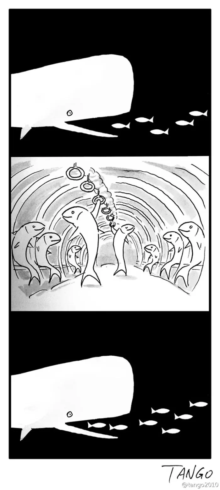 253 Incredibly Clever Comics By Shanghai Tango