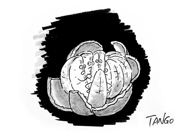 253 Incredibly Clever Comics By Shanghai Tango