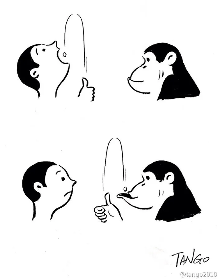 253 Incredibly Clever Comics By Shanghai Tango
