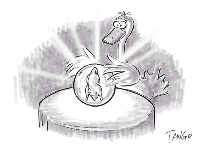 253 Incredibly Clever Comics By Shanghai Tango