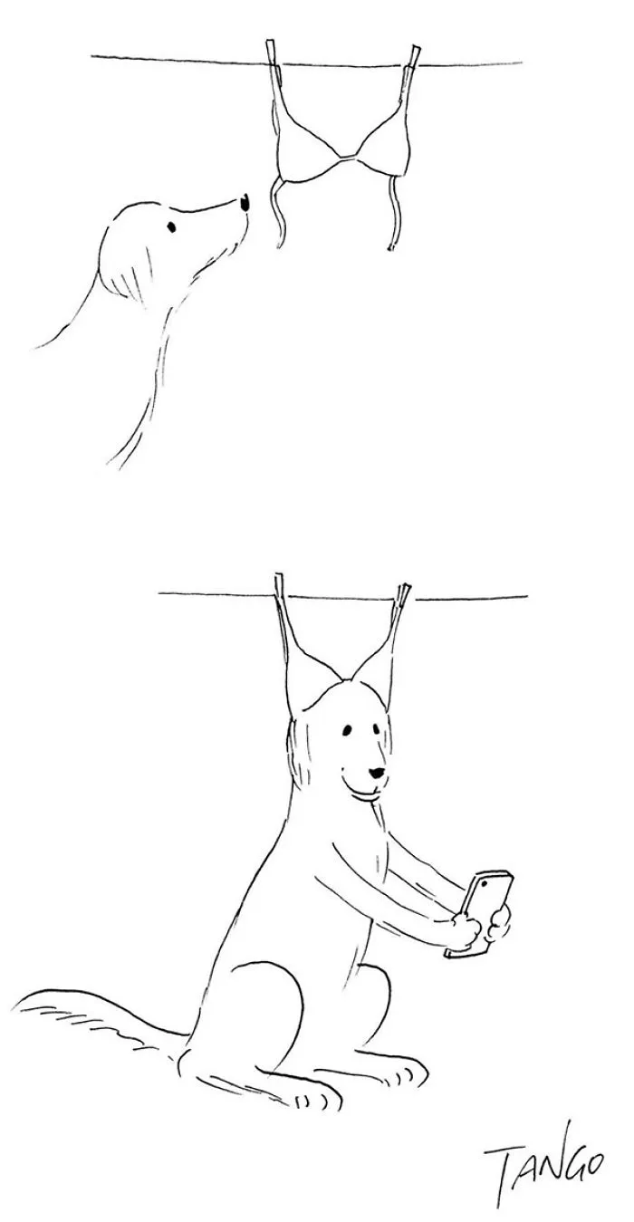 253 Incredibly Clever Comics By Shanghai Tango
