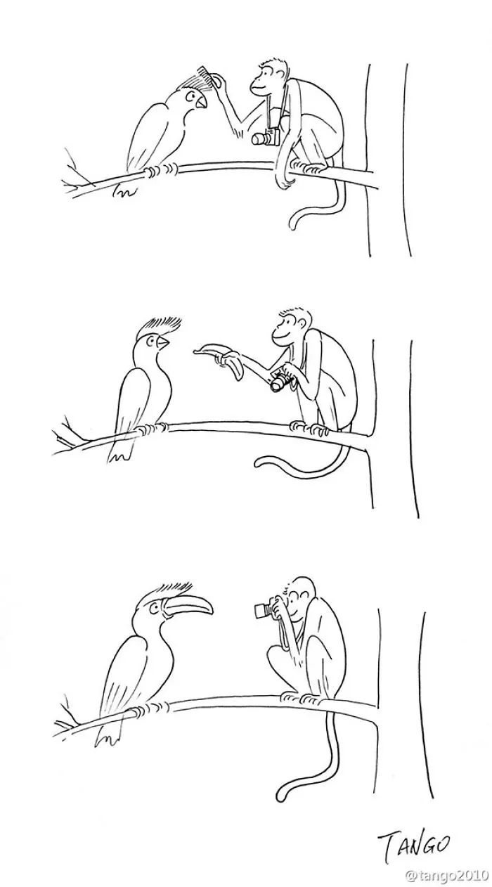253 Incredibly Clever Comics By Shanghai Tango
